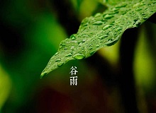 《谷雨》過(guò)了清明，就是谷雨。村莊里，田野里，村路上，草木間，人家的院落里，人們的臉上，到處都是春天的閑意思了。[詳細(xì)]