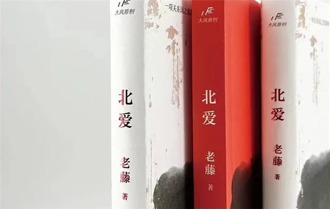 “行進(jìn)的風(fēng)景”第十七期：老藤《北愛(ài)》