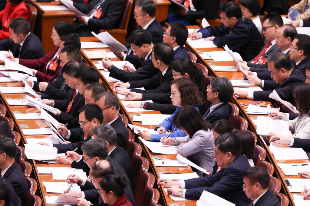3月8日，十四屆全國人大二次會議在北京人民大會堂舉行第二次全體會議。新華社記者 王婧嬙 攝