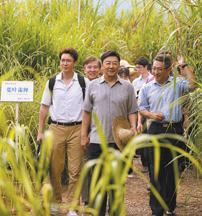 　　圖為電視劇《幸福草》劇照。 　　片方供圖